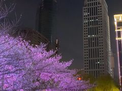 -西北湖绿化广场