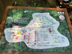 -野象谷景区