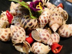 陈年花雕醉花螺-大树餐厅(益田假日店)