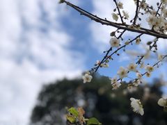 -广州市白云山风景名胜区