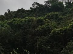 -海口火山口国家地质公园