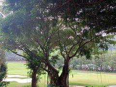 -南沙高尔夫球会