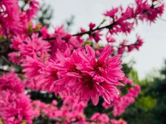 -鹦鹉寺公园