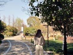 -佳雯宠物医院(金华南路分院)