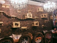 -more than meow吴止猫主题餐厅(承德 中船汇店)