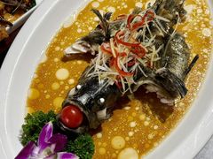 -云海肴·汽锅鸡·云南菜(南强街店)