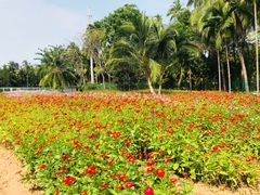 -三亚珠江南田温泉度假区