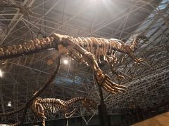 -世界恐龙谷景区