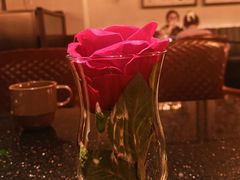 -华豫川酒家(大卫城店)