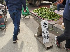 -蒲河大集