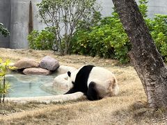 -柳州市动物园