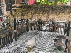 -优之名鹅城