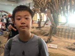 -自贡恐龙博物馆