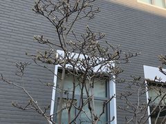 -北京协和医院(东单院区)