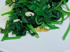 地瓜叶-鹿港小镇(金虹桥国际中心店)