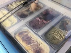 -维尔纳斯·生日蛋糕动物奶油冰淇淋蛋糕(人大店)