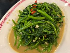 -中国城银都鱼翅酒楼