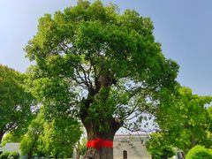 -养云安缦吧THE BAR