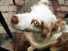 -豆舞咖啡(民乐路店)