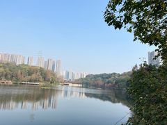 -重庆彩云湖湿地公园