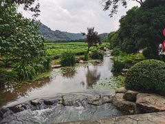 -中国茶叶博物馆(双峰馆区)