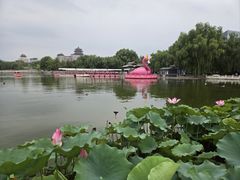 -莲花池公园