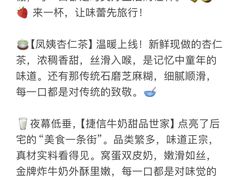 -南澳岛打卡果汁冰公司