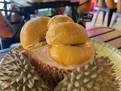 -榴莲BB 四季果园