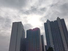 -十九路军淞沪抗日阵亡将士陵园