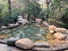 -天目湖涵田半山温泉