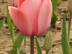 -廊坊文化艺术中心