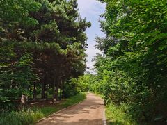 -长春市南湖公园