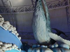 -烟台海昌鲸鲨海洋公园