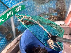 -品鲜村农家菜·阳澄湖大闸蟹(总店)