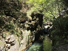 -大奇山国家森林公园