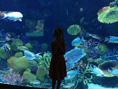 -暹罗海洋世界