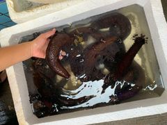 -霞涌市场海鲜摆卖区