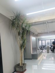 -宫铭烫发染发接发店