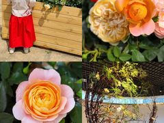 -人民公园(罗湖区)