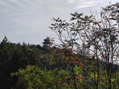 -府君山公园