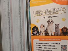 -伟伟宠物医院·CT影像中心·瑞派犬猫综合性门诊(汉口总院)