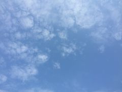 -西涌国际滨海旅游区