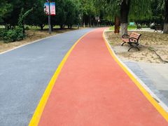 -大兴滨河森林公园