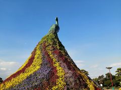 -七彩云南欢乐世界