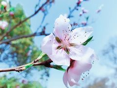 -昆山城市生态森林公园