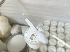 手工椰子雪糕-洪馨椰子