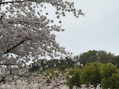 -苏州上方山国家森林公园