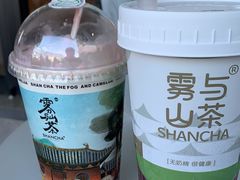 -雾与山茶(大禹城店)