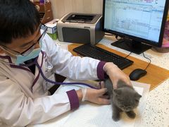 -宠爱国际动物医院·消化内科·心肾内科·ISFM猫友好(望京店)