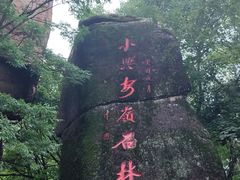 -汤旺河林海奇石景区
